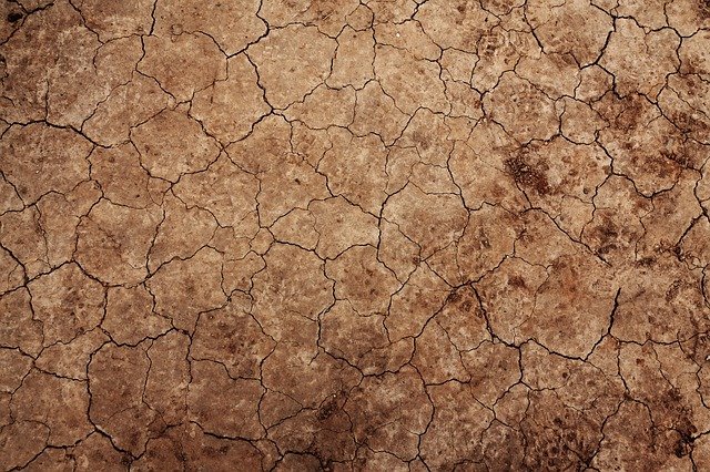 Land & Soil Degradation: Types, Causes, Effects, & Solutions