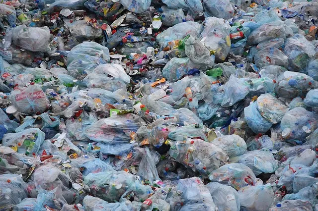 塑料汙染:原因，來源，影響和解決辦法