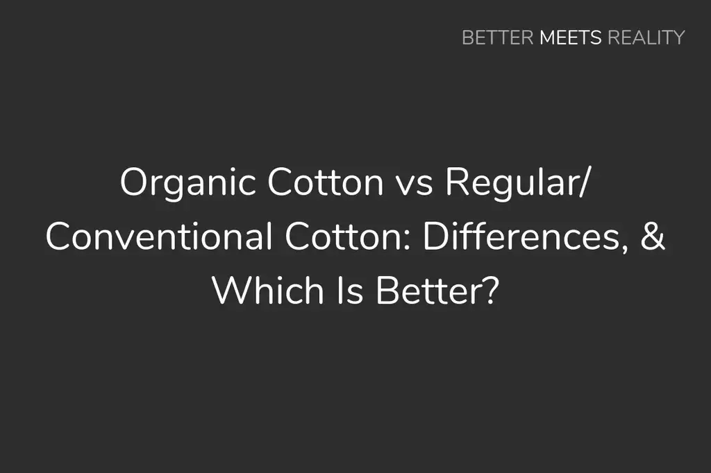 有機棉與普通/常規棉:差異，以及哪個更好?