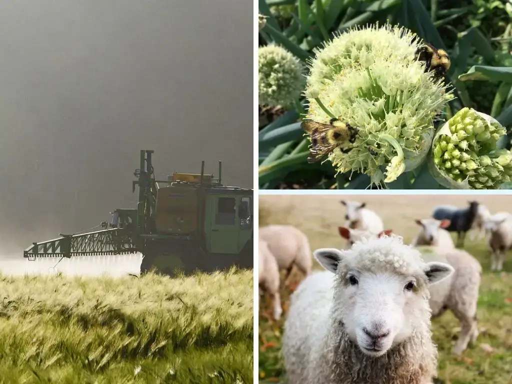 農業對動物、野生動物和生物多樣性的潛在負麵影響