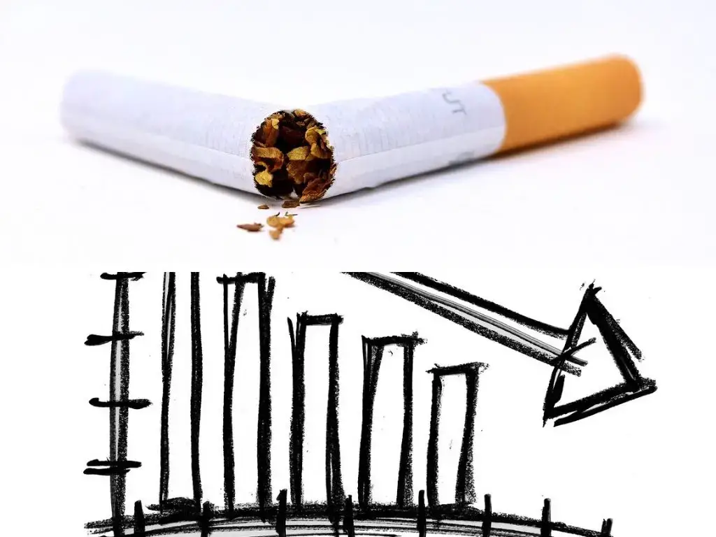 如何預防吸煙，減少香煙/煙草在社會上的流行和影響