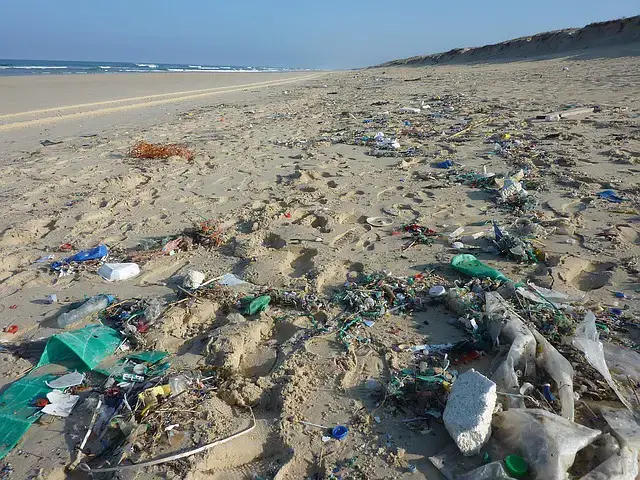 在海洋和海灘上發現的最常見的廢物類型