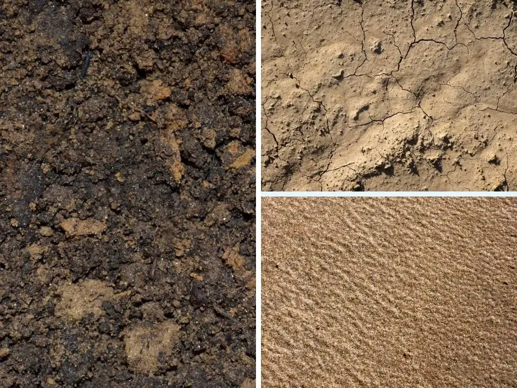 分類土壤類型的不同方法:按順序，質地/特征/顆粒大小，顏色，區域等