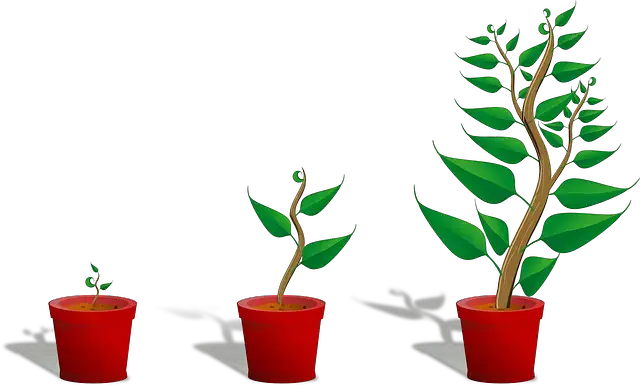影響植物生長的因素