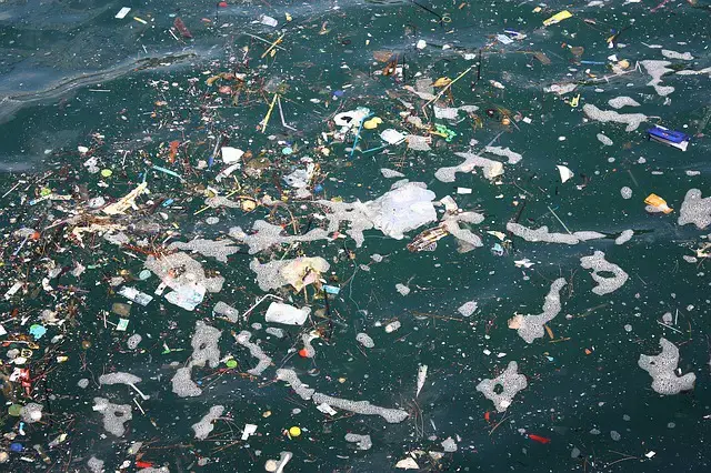 海洋中的塑料汙染:常見問題指南