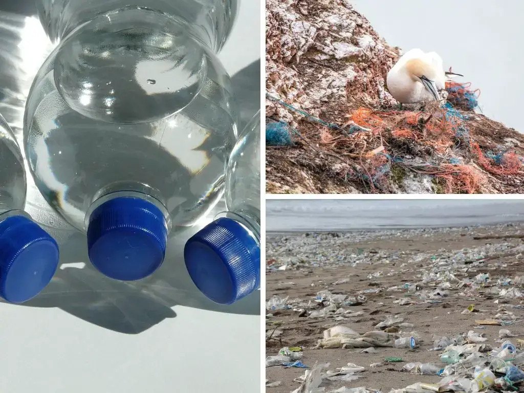 使用塑料的潛在有害影響(對環境、野生動物/動物、人類與健康和經濟)