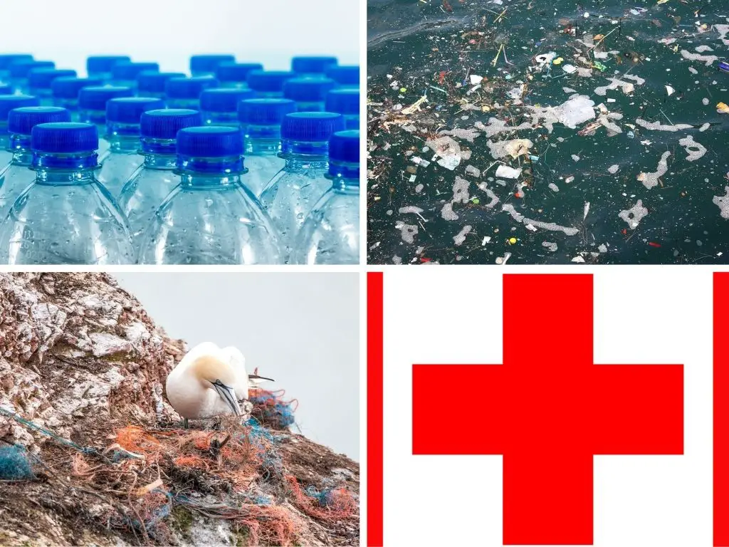 塑料對人類健康、環境和野生動物的影響