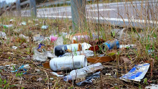 陸地塑料汙染:常見問題解答指南