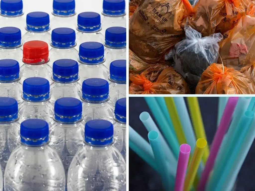 我們應該禁止塑料瓶、塑料袋和吸管嗎?