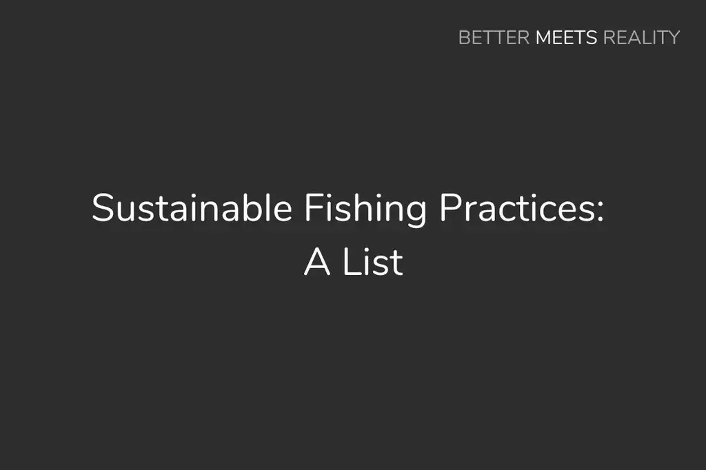 可持續漁業實踐，方法和例子（列表）