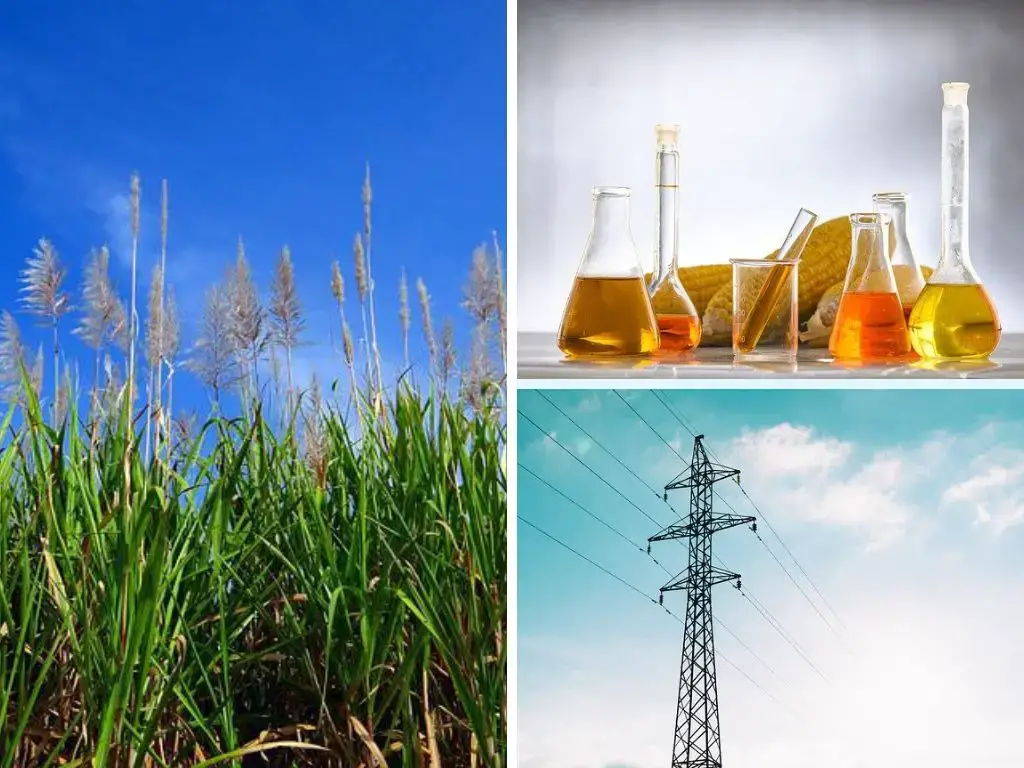 生物質，生物燃料，生物能源和沼氣解釋:定義，用途，類型，例子，和更多