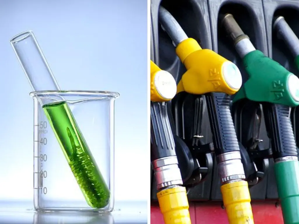 生物燃料與生物柴油與乙醇：差異和比較