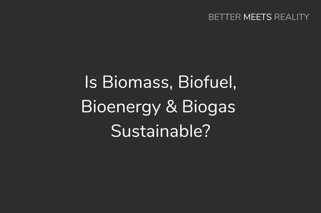 生物質、生物燃料、生物能源和沼氣可持續嗎?