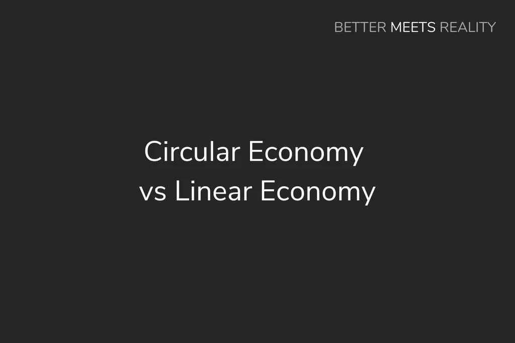 循環經濟與線性經濟:差異&哪個更好?